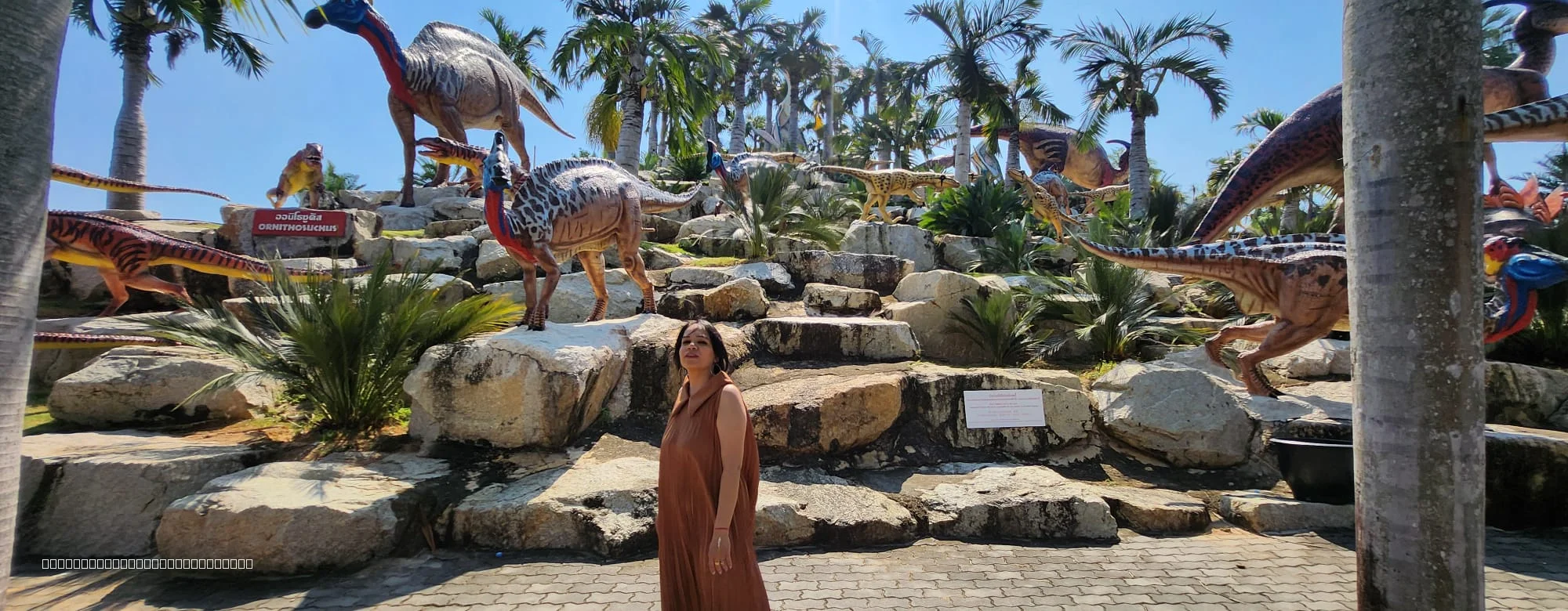Thai Cultural and Elephant Show performance times at Nong Nooch Garden