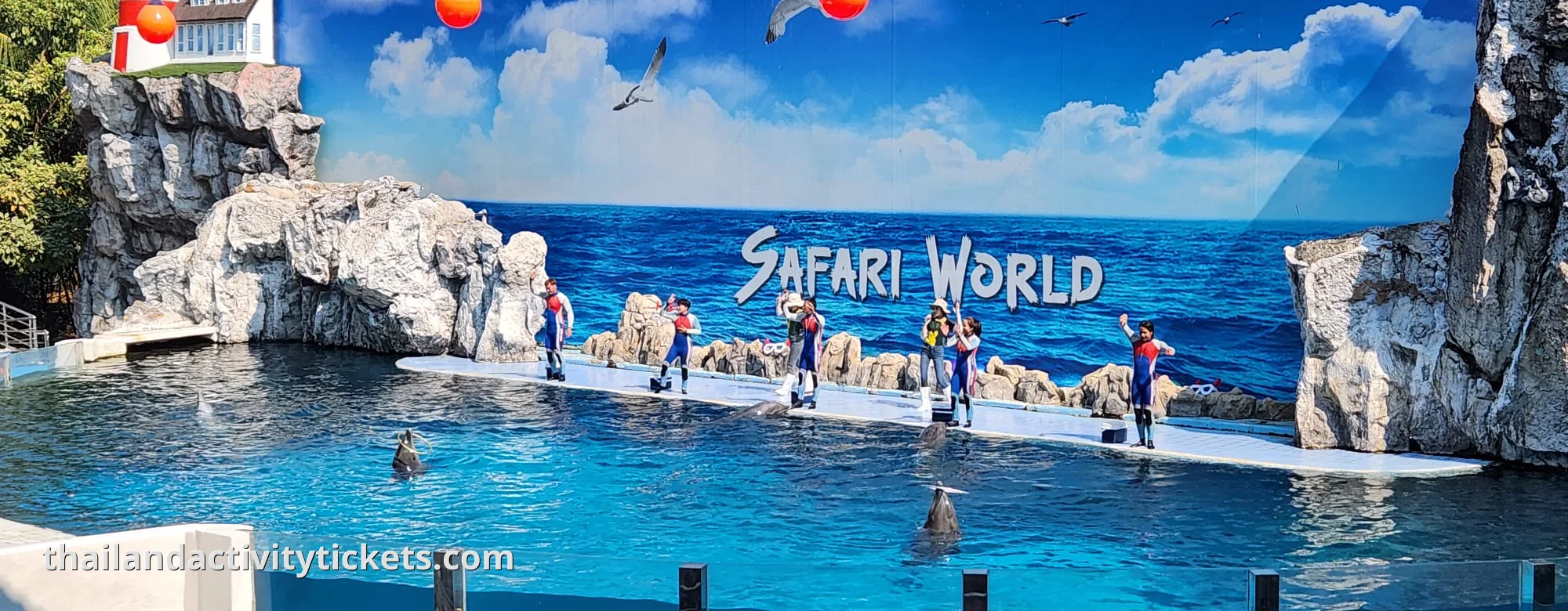 Dolphin show performance at Safari World Bangkok Marine Park