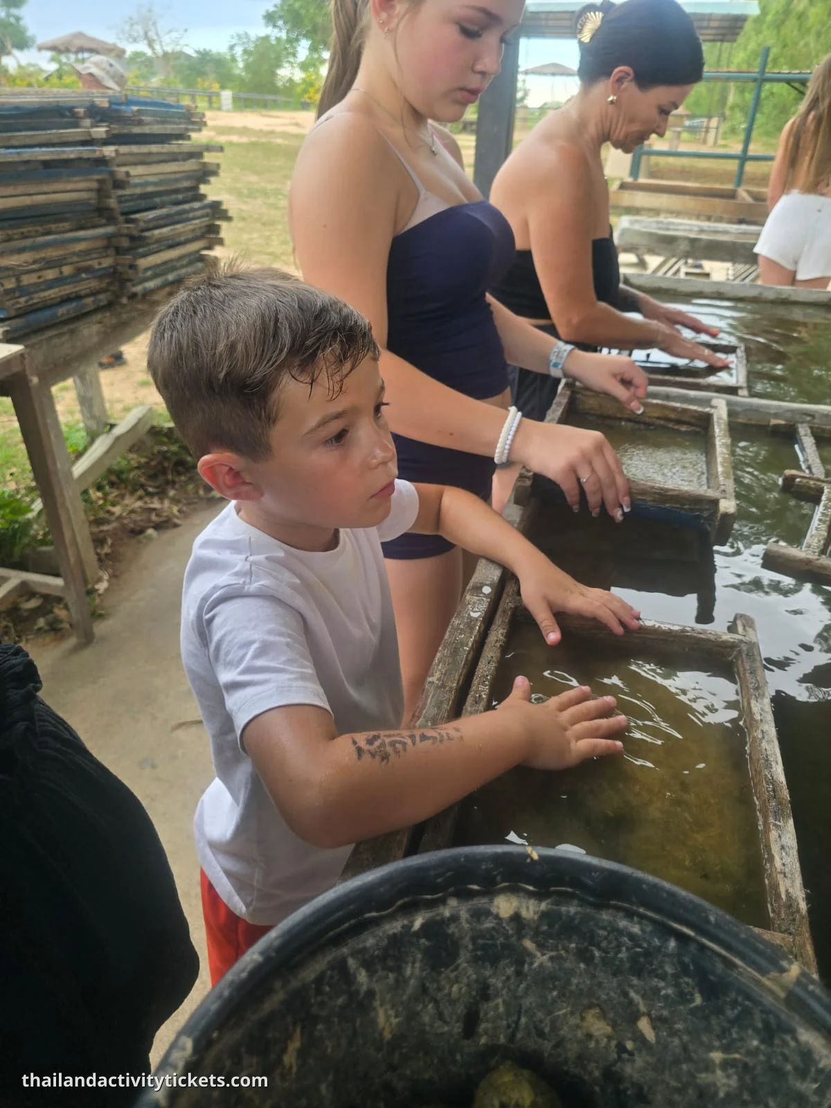 Feeding elephants experience Pattaya elephant sanctuary