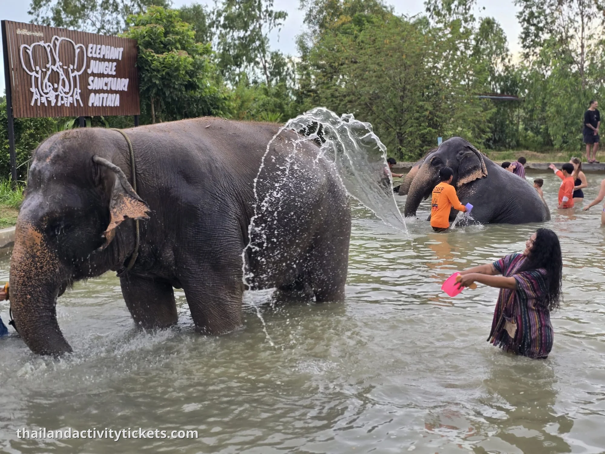 Elephant Sanctuary Pattaya Tickets – Ethical Elephant Experience in Thailand