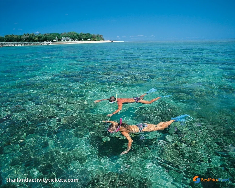 Snorkeling at Coral Island Pattaya clear water beach