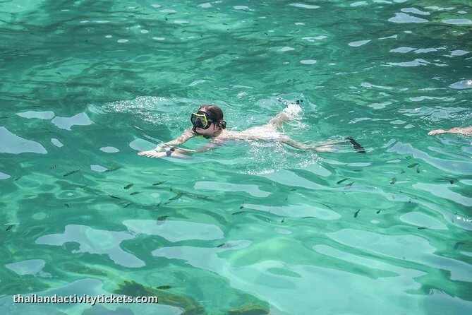 Krabi speedboat departure to Phi Phi Islands full day trip