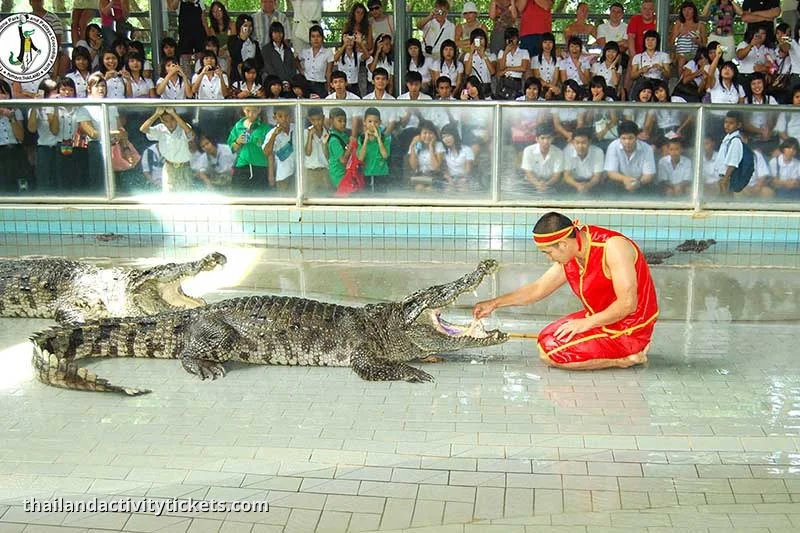 Pattaya Crocodile Farm entrance Million Years Stone Park