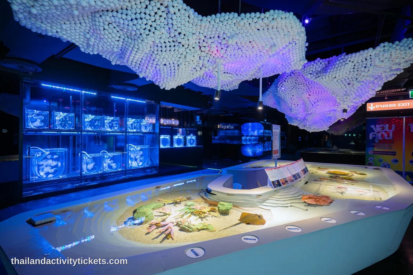 Colorful jellyfish exhibit at Aquaria Phuket Thailand