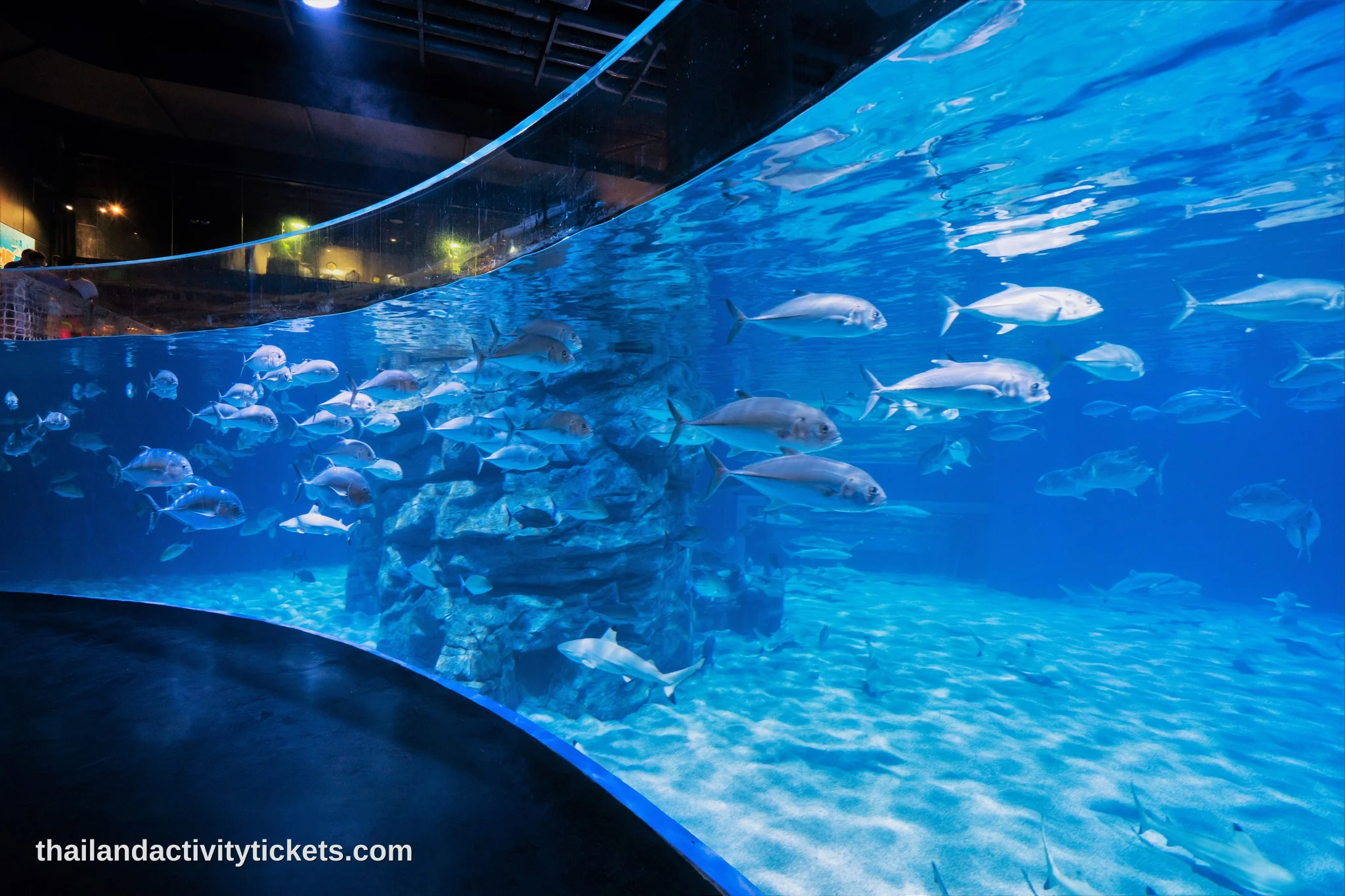 Entrance area of Aquaria Phuket at Central Phuket Floresta