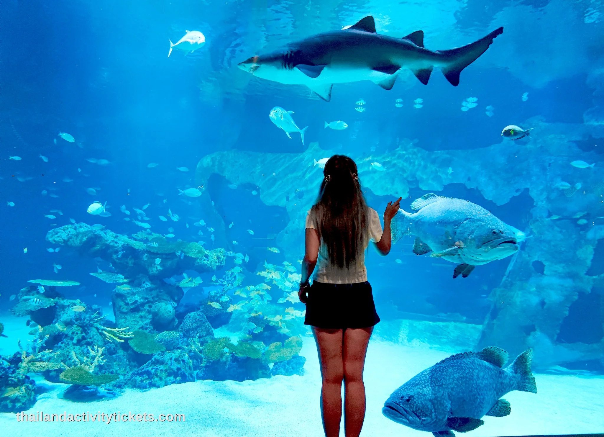 Underwater tunnel experience at Aquaria Phuket Thailand