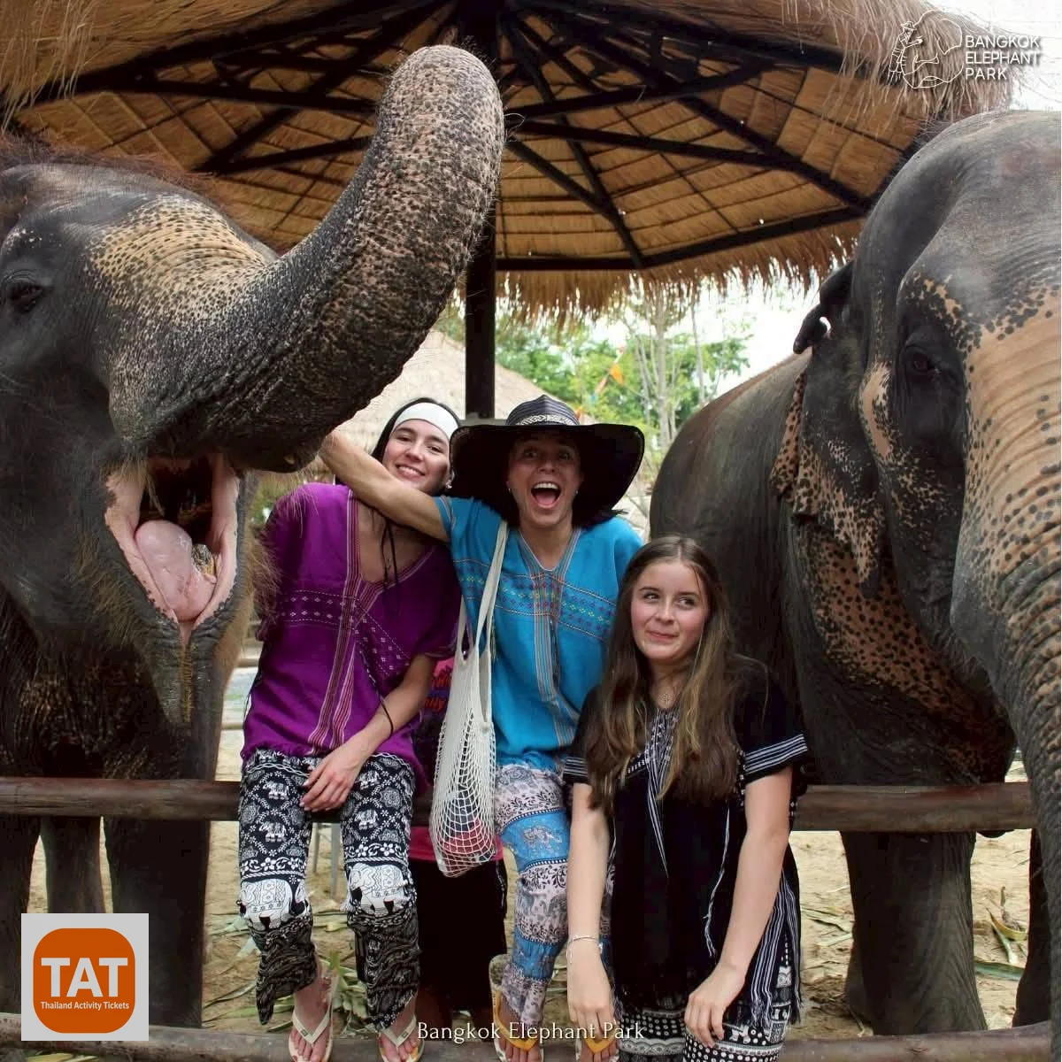 Bangkok Elephant Park tickets