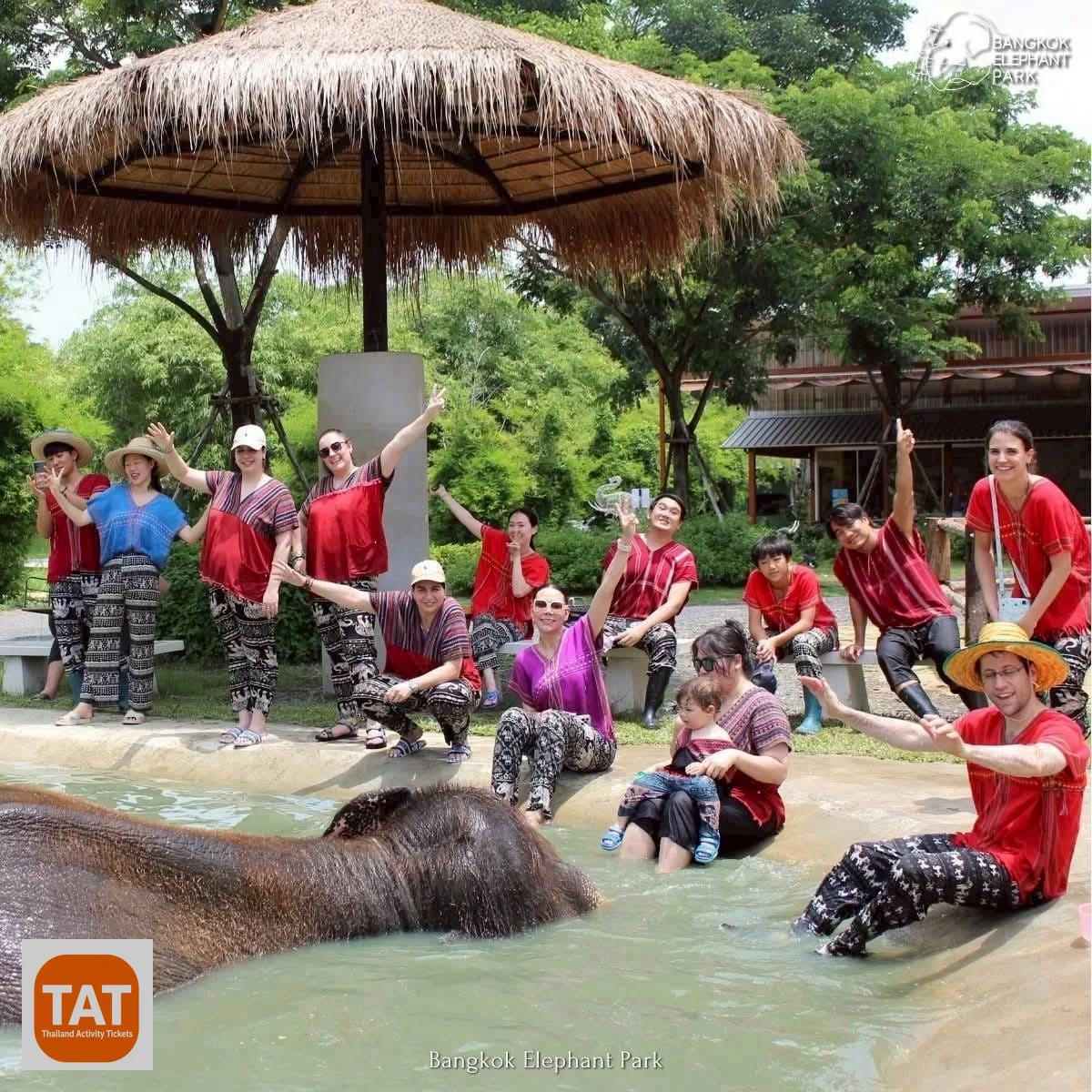 Feeding and mud bath session at Bangkok Elephant Park
