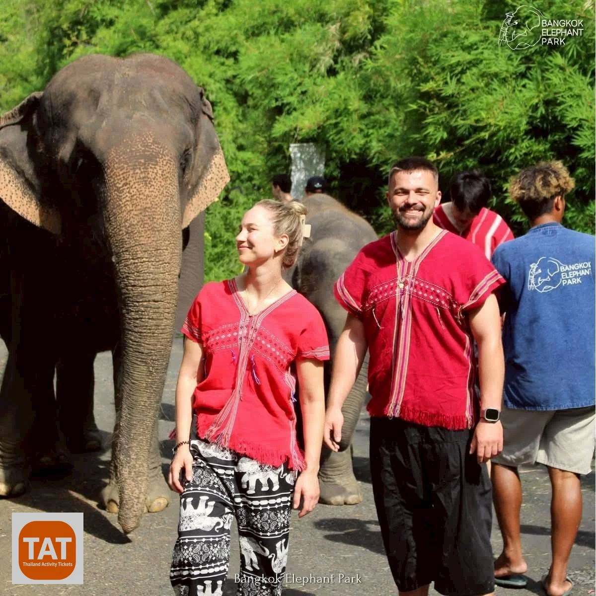 Guided jungle walk at Bangkok Elephant Park sanctuary