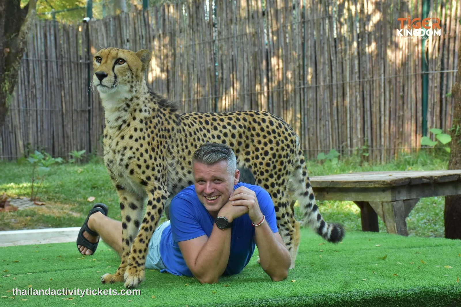 Family enjoying tiger experience in Phuket