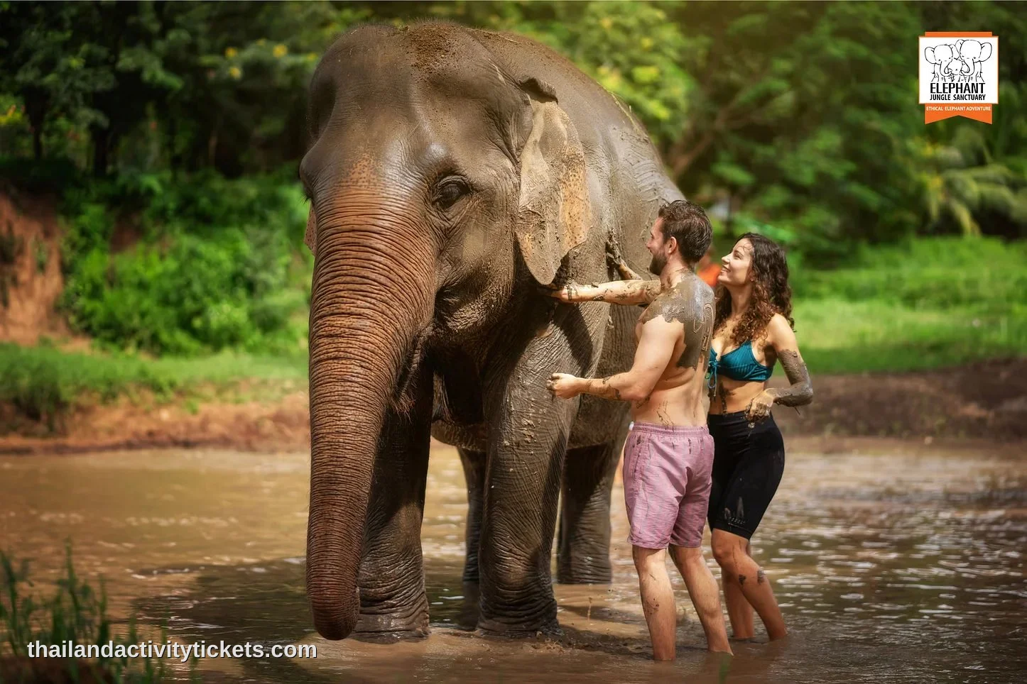 Elephant sanctuary tour in Chiang Mai Thailand