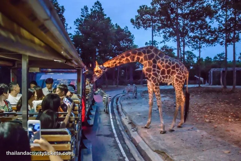 Wildlife experience at Chiang Mai Night Safari Thailand