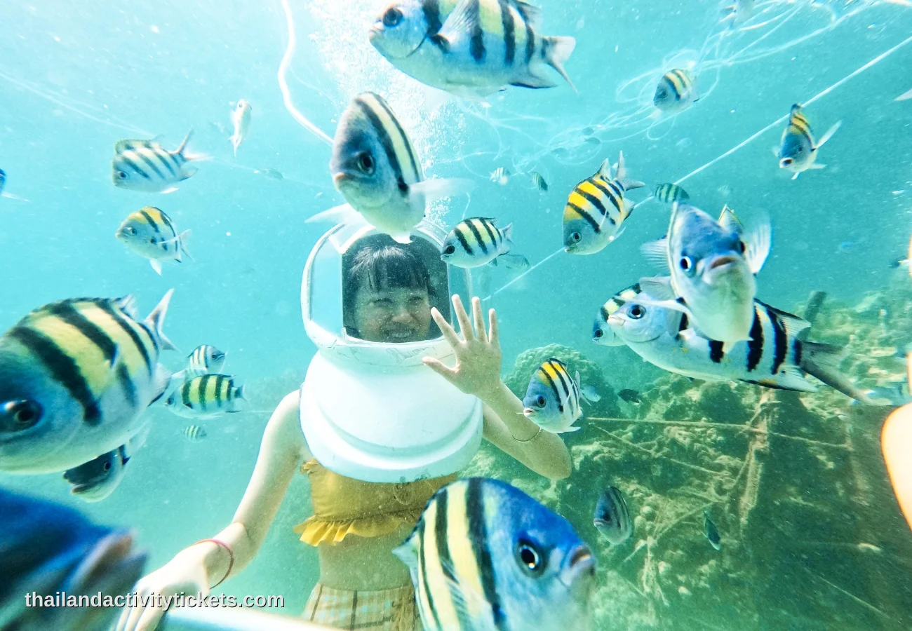Tropical scenery at Coral Island Phuket