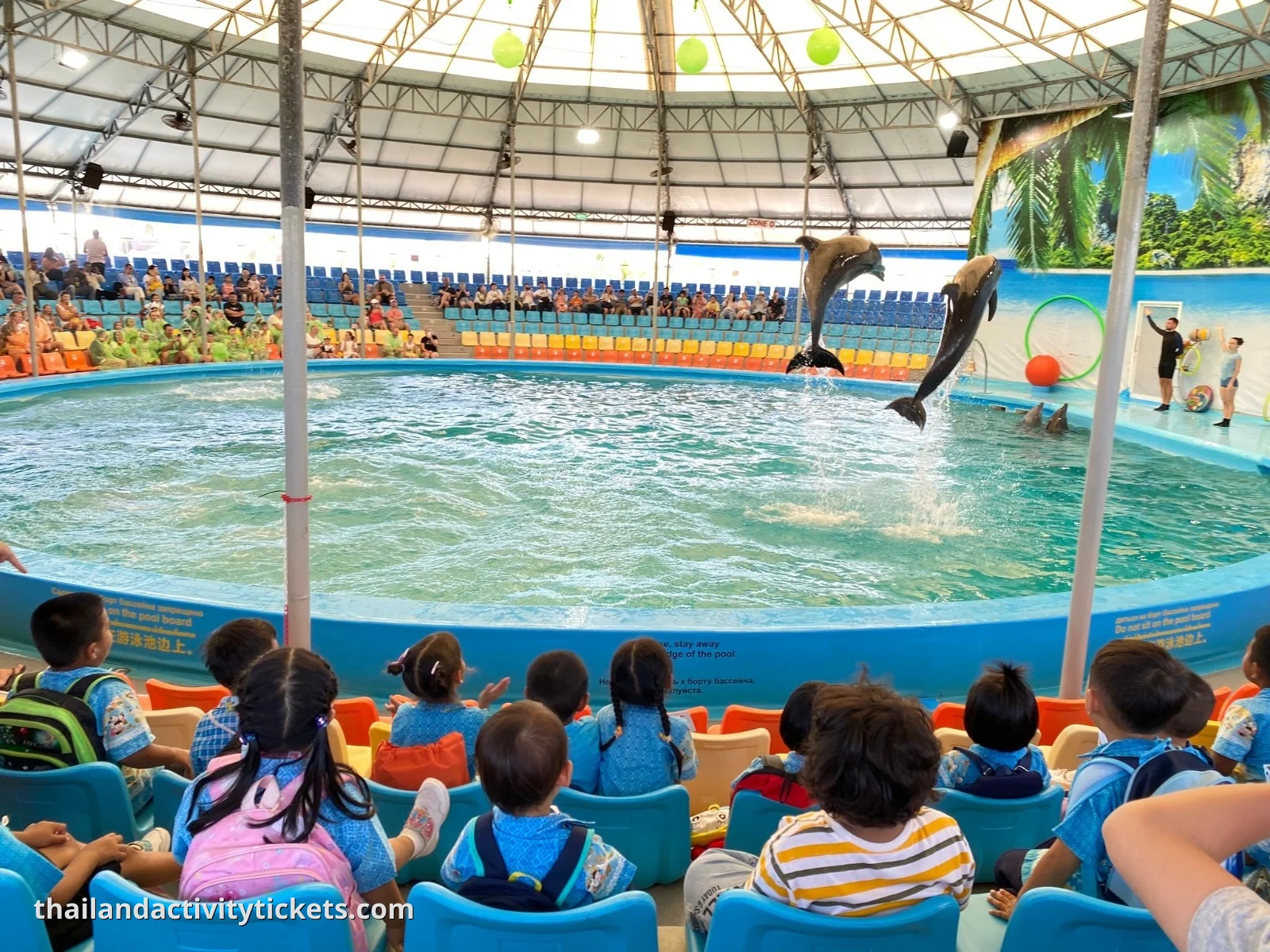 VVIP seating dolphin show Phuket front row view