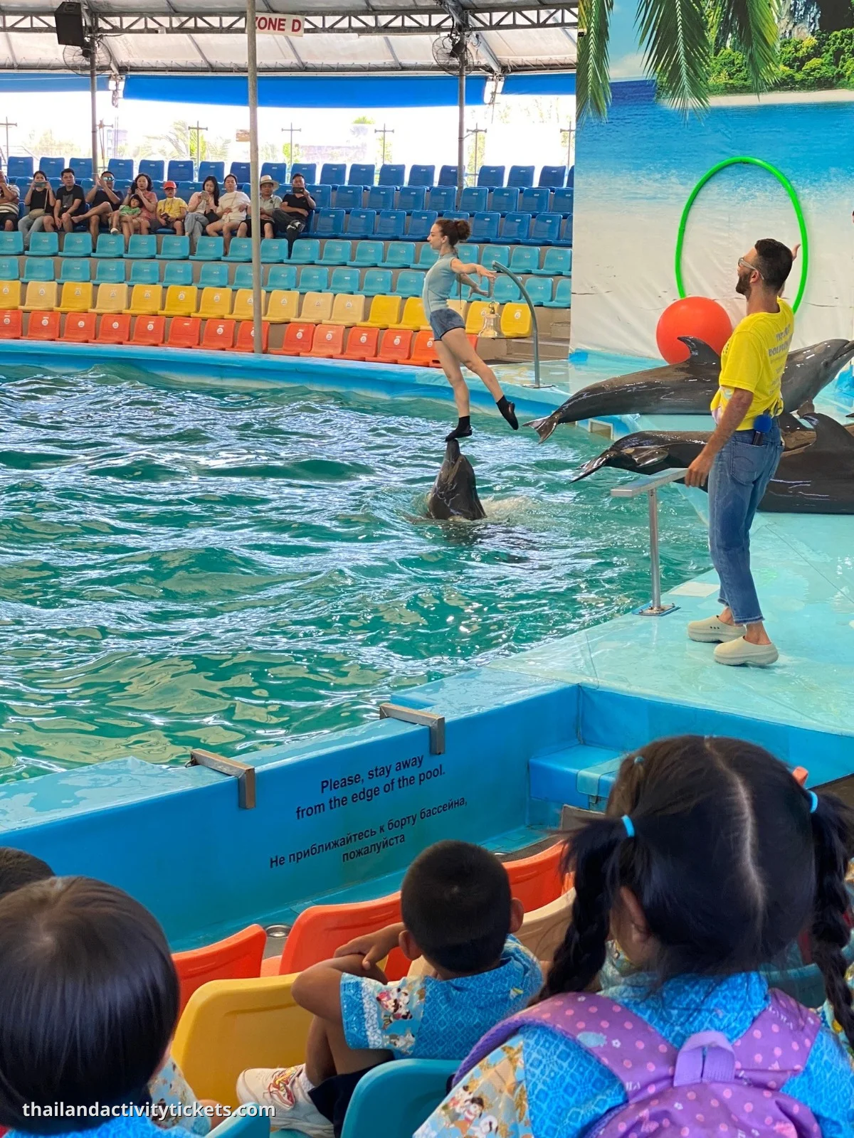 Professional dolphin trainers Phuket show