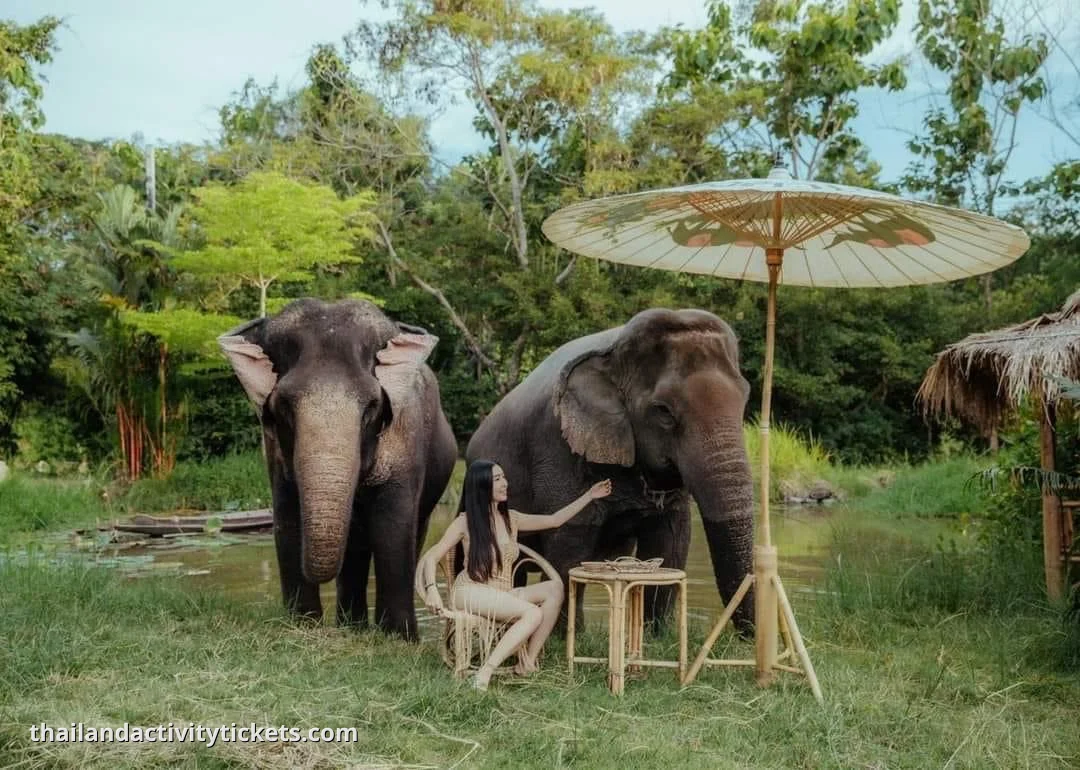 refreshments at Mong Chang Cafe surrounded by nature animals