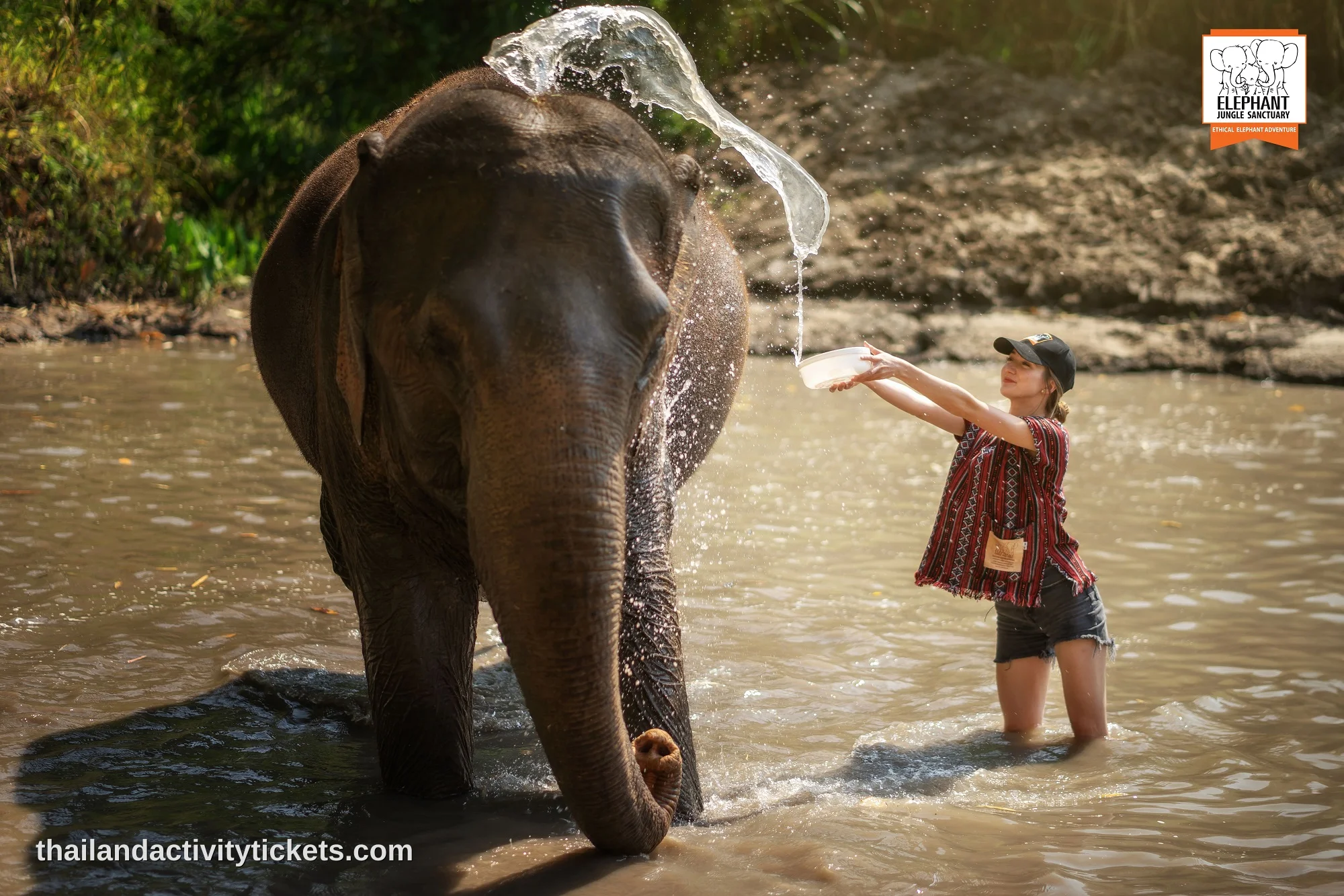 Visitors bathing elephants at Elephant Jungle Sanctuary Chiang Mai
