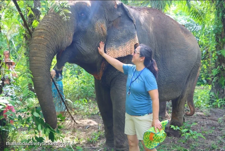 Tourists interacting with elephants in Krabi sanctuary