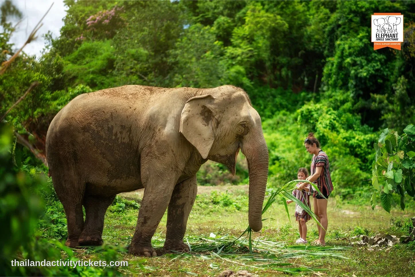 Family enjoying Elephant Jungle Sanctuary Chiang Mai tour