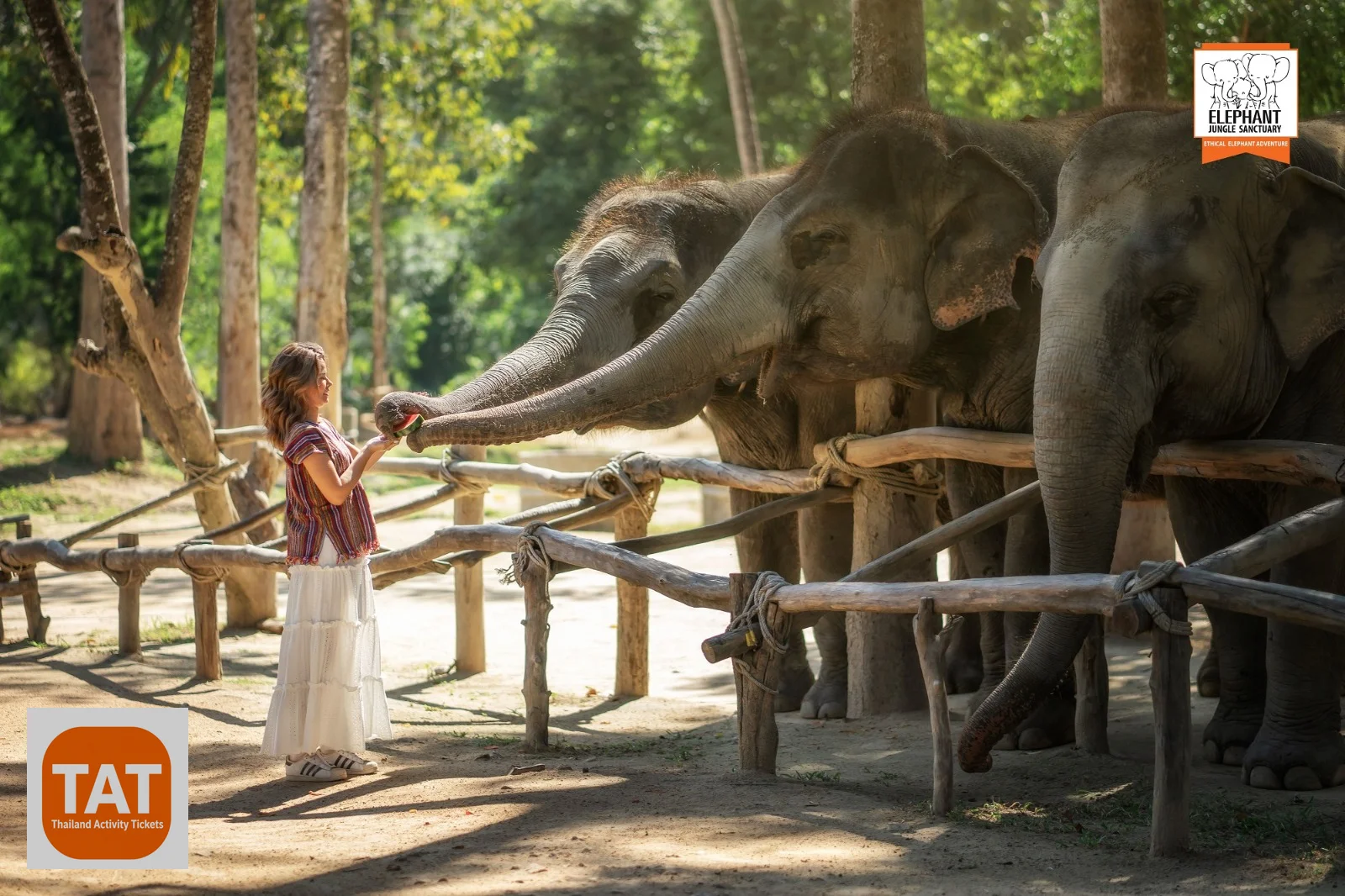 Elephant Jungle Sanctuary Samui Tickets – Ethical Tour
