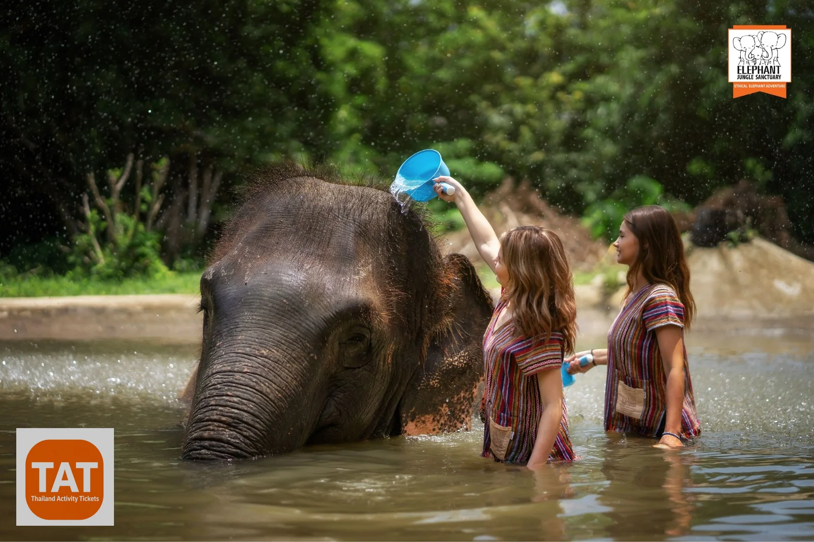 Water bathing session with elephants at Samui sanctuary
