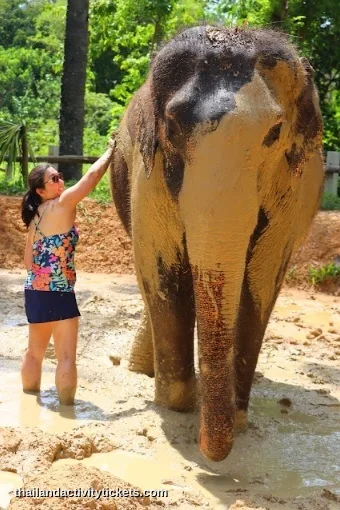 Elephant mud spa experience in Krabi Thailand