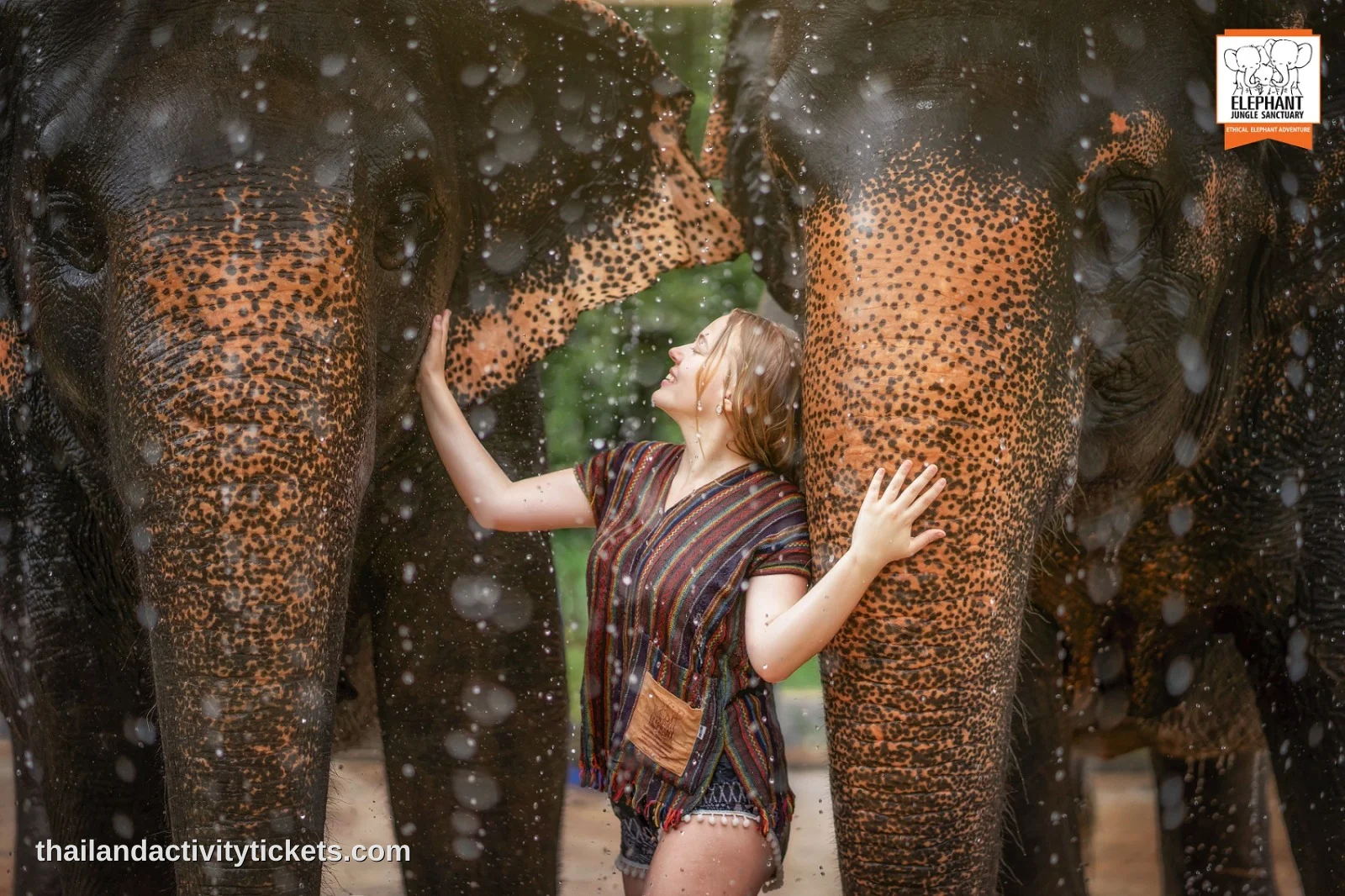 Taking photos with elephants in Phuket sanctuary
