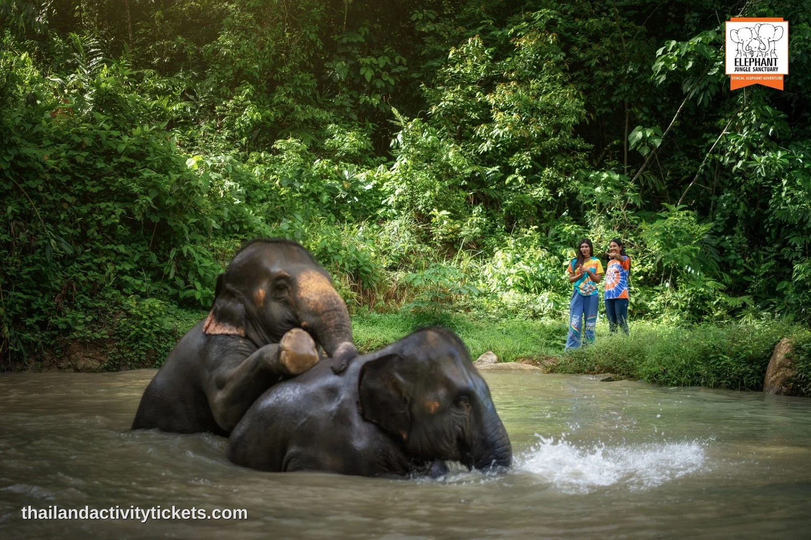 Family enjoying elephant sanctuary experience in Phuket Thailand