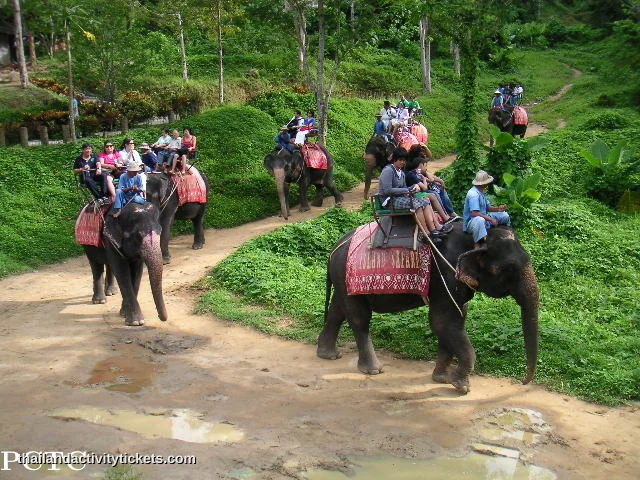 Elephant walking through a natural pond at Thappraya Safari Pattaya with tourists