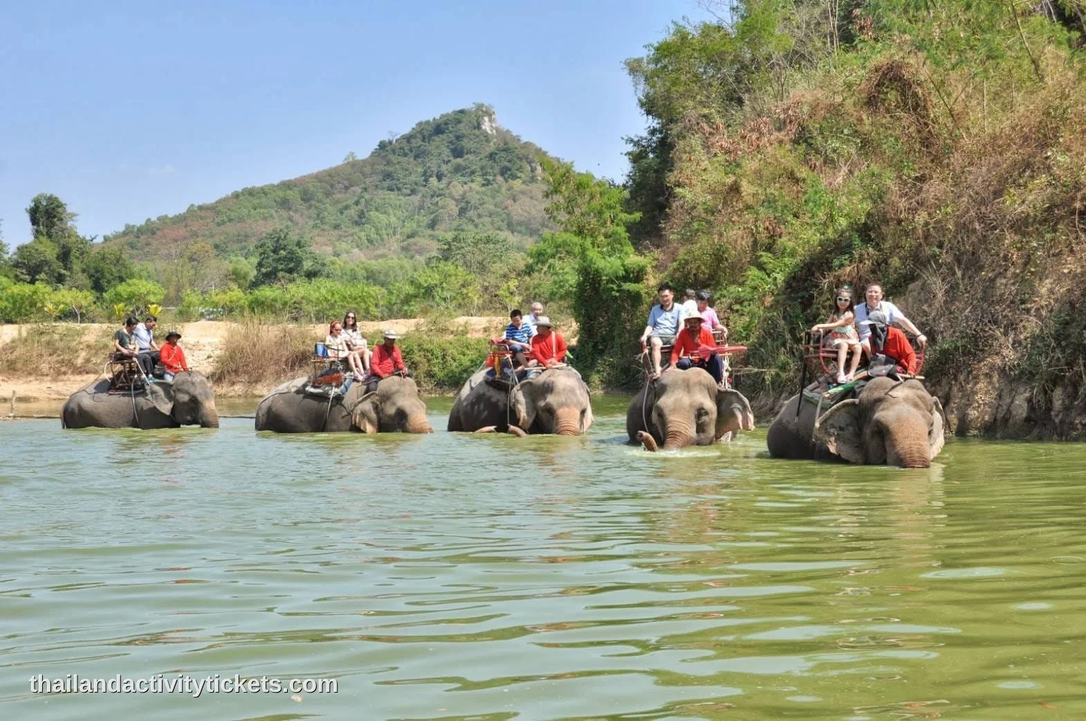 Tourists riding an elephant through tropical jungle trails in Pattaya