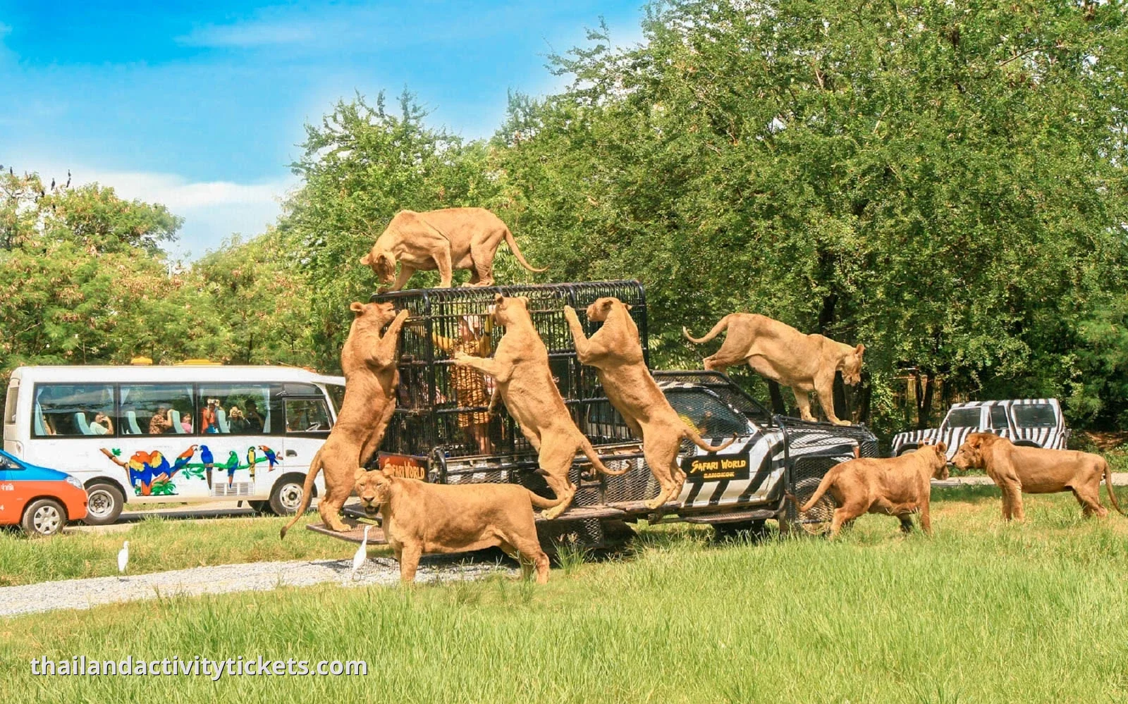 Safari World and Marine with Lunch & Dinner Cruise Bangkok Combo