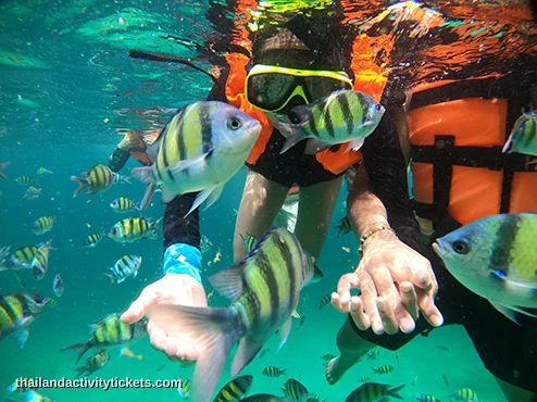 Snorkeling activity at Phi Phi Islands