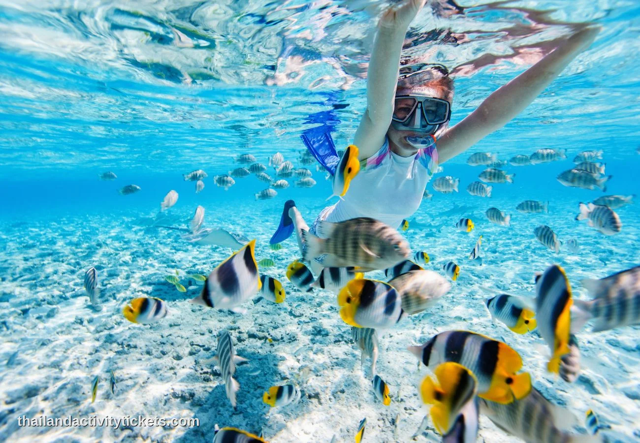 Snorkeling at Racha Island Phuket