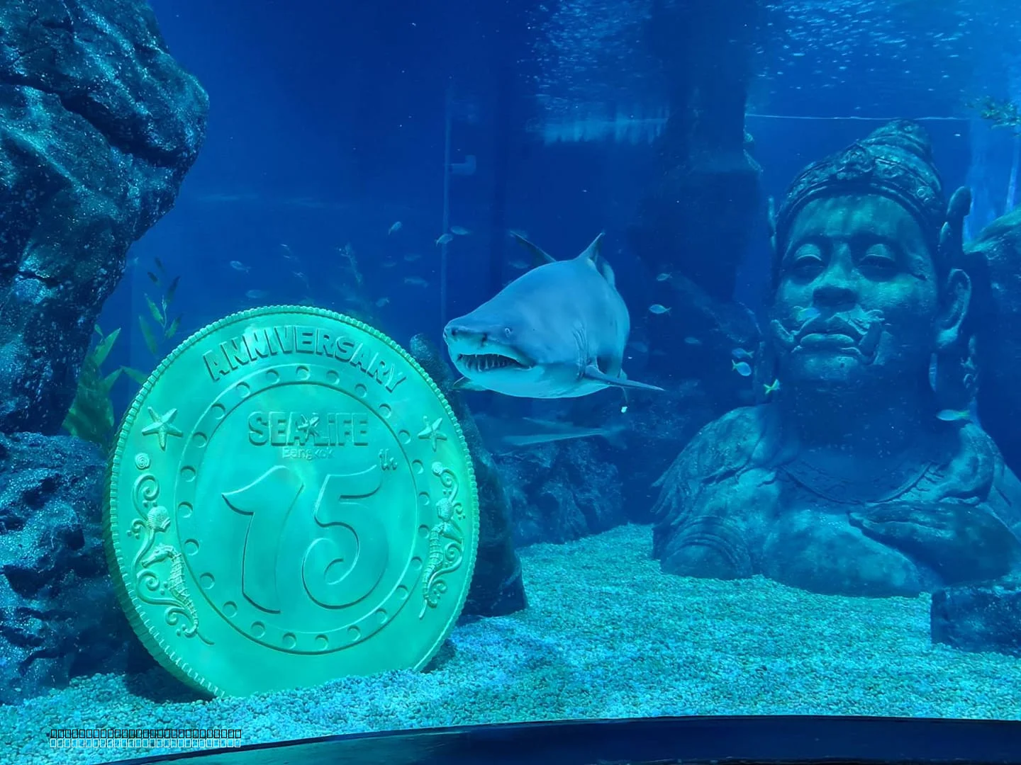 Underwater tunnel at SEA LIFE Bangkok Ocean World Thailand