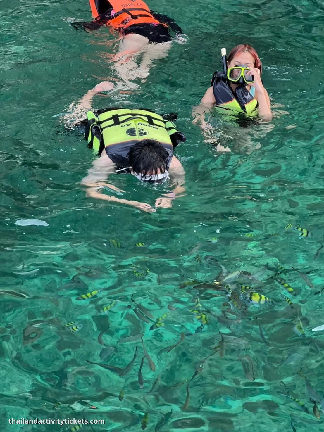 Snorkeling with Tropical Fish at Chicken Island (Koh Kai) Krabi