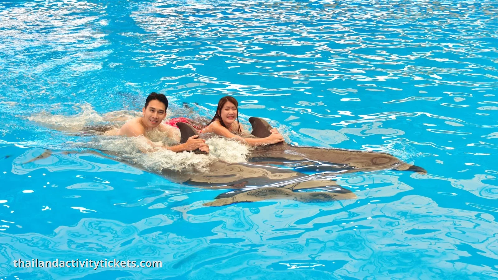 Family enjoying dolphin show Phuket