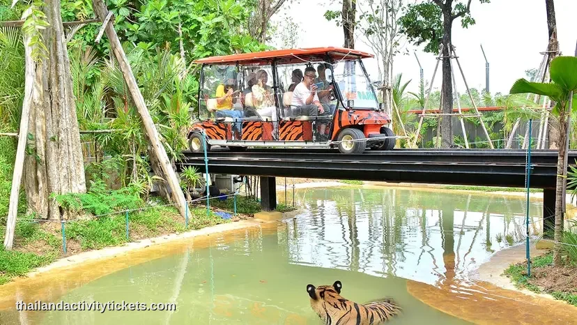 Canopy Forest Safari at Tiger Park Phuket scenic ride experience