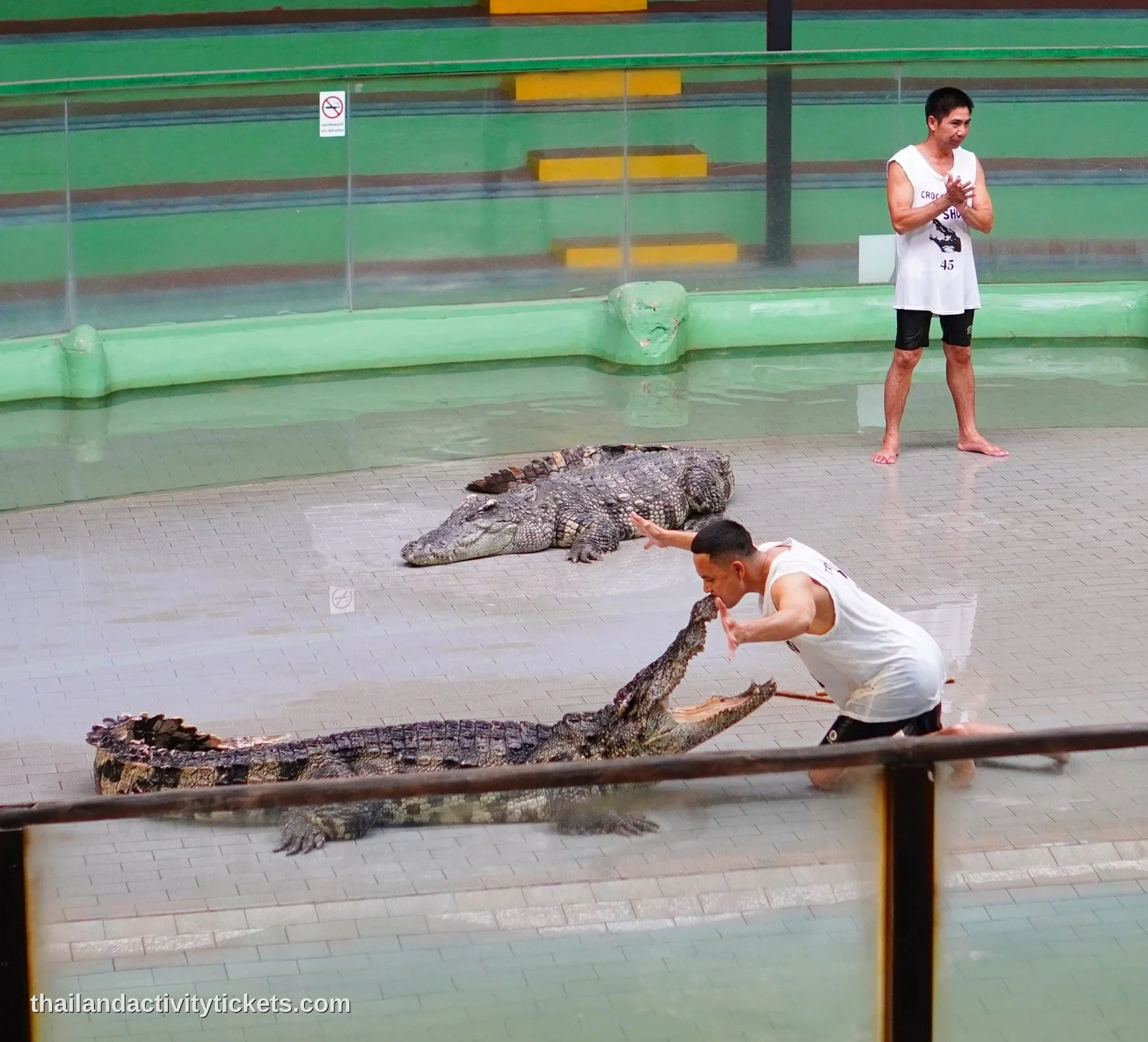 Crocodile show stunt performance at Tiger Topia Thailand