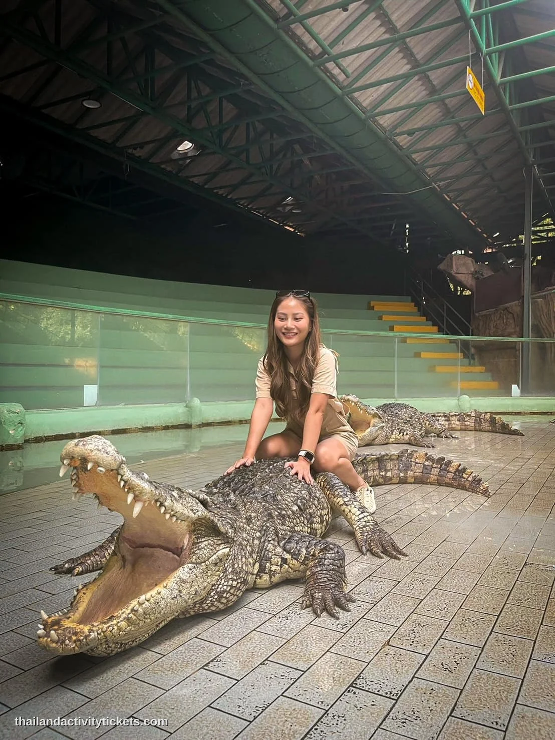 Tourist taking photo with crocodile at Tiger Topia Sriracha Zoo Thailand