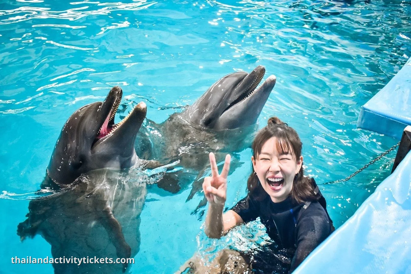 Close interaction with dolphins at Dolphins Bay Phuket