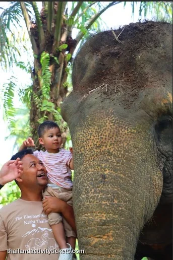 Walking with elephants in Krabi jungle sanctuary